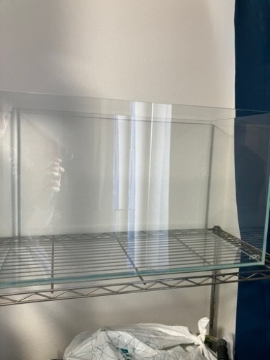 ADA水槽熱帯魚に