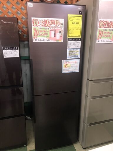 シャープ　SHARP　冷蔵庫　SJ-PD31J　2023年製　大容量　310L　2ドア　右開き　おしゃれ　クリーニング済み　チェック済み　ジャングルジャングル貝塚店　貝塚市　二色浜