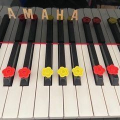音楽教室　MARI ピアノ&リトミックの画像
