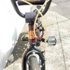 子供用自転車　BMX se bikes lil ripper 16インチの画像