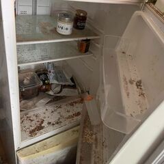 ガスレンジ+冷蔵庫+コンベクションオーブンの画像