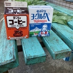 来月に奄美大島行くので現地でオススメの場所やスポット教えて😆 - 奄美市