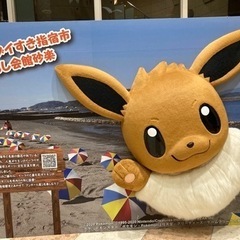 来月に奄美大島行くので現地でオススメの場所やスポット教えて😆 − 鹿児島県