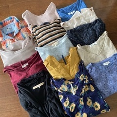 レディース　トップス　14着