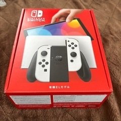 任天堂 Nintendo Nintendo Switch ドッグ...