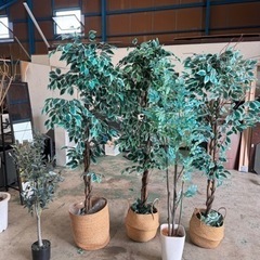決まりました☆造花☆インテリアに☆格安☆中古☆配達相談可能☆早い...