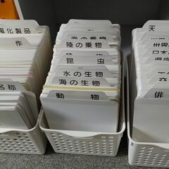 家庭保育園　第二教室教材「フラッシュカード」ほか