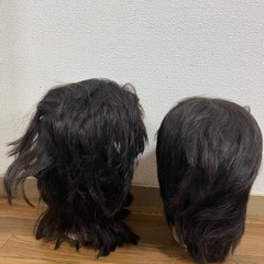 【譲ります】ウィッグ 美容 カットウィッグの画像