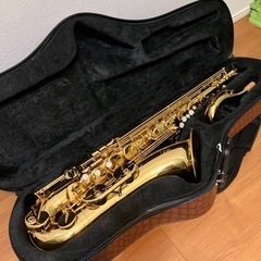 テナーサックスケースの画像