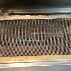 サラマンダーの画像