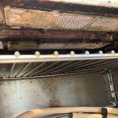 サラマンダーの画像