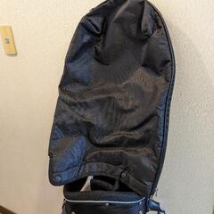 （値下げ）MOTIVATION AND DECISION

キャディバックのみの画像