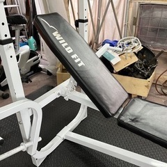 WILD FIT マルチベンチ、ダンベルプレートセット（計35kg）の画像