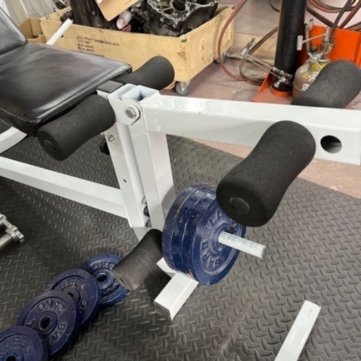 WILD FIT マルチベンチ、ダンベルプレートセット（計35kg）