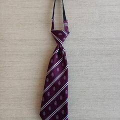 入学 卒園 子供ネクタイ