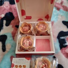 お勧めのｶﾌｪを教えて下さい - メンバー募集