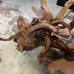 家具 インテリア雑貨/小物 置物、オブジェの画像