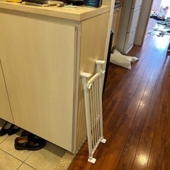 お譲りしますの画像