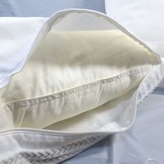 Francfranc EMB オーナメント クッションカバー 450×450 ホワイト×シルバー 2枚セットの画像
