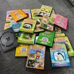 【新品】もあり、DVD 子供向け