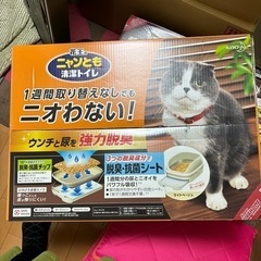 G0242★ネコちゃんのトイレ①