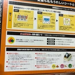 G0243★ネコちゃんトイレ②の画像