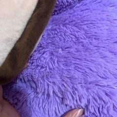 でっかいクマ ぬいぐるみ 2000円の画像