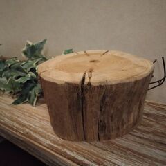 流木 植木鉢 フラワーポット インテリア ディスプレイ 多肉植物の画像