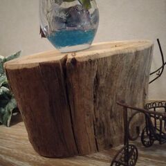 流木 植木鉢 フラワーポット インテリア ディスプレイ 多肉植物の画像