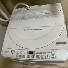 家電 生活家電 洗濯機
