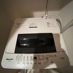 家電 生活家電 洗濯機