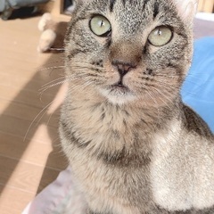 5歳雄の画像