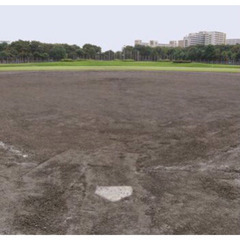3月27日(水)13時から、光が丘公園で野球の練習をしませんか？