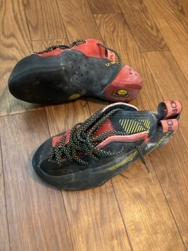 テスタロッサ　スポルティバ　38