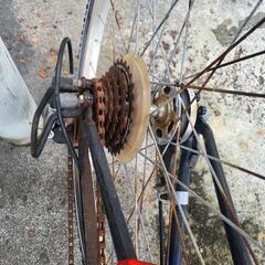 自転車 クロスバイクの画像