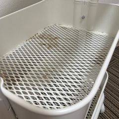 ロースフルトの画像
