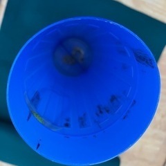 小学生　中学生　書道バッグ　ロング下敷きセットの画像