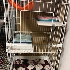 猫　ケージ