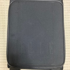 キャリーバック