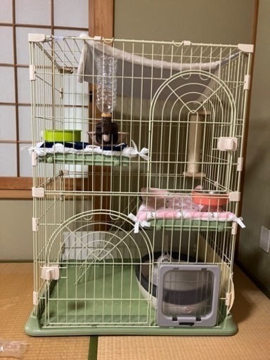 キャットケージ