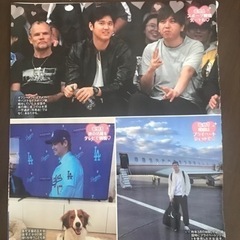大谷翔平　切り抜きの画像