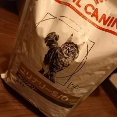 ロイヤルカナン 療法食  猫用 ユリナリーS/O オルファクトリ...
