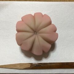 久留米有馬藩ゆかりの茶道　表千家不白流   おけいこ処案内🎵 見学&体験できますの画像
