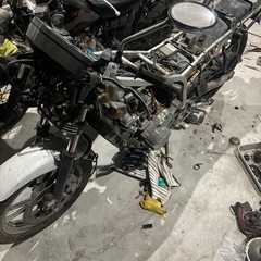 鹿屋発〜GF250　の画像