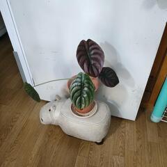 【植物関連】植物育成ライト(45w)の画像