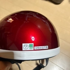 半キャップ　の画像