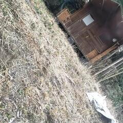 福岡県全域　草抜き　雑草　お困りごとご相談ください😊