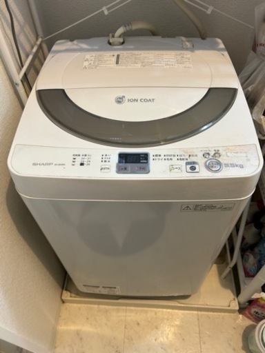 家電 生活家電 洗濯機