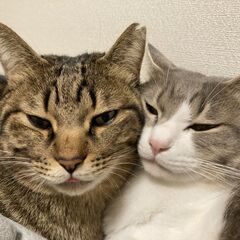 3/21ご予約お待ちしております。