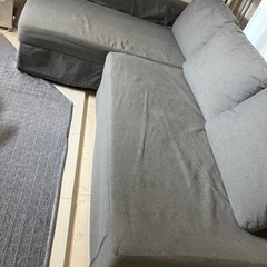 IKEA  ソファ　フリーヘーテン